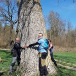 abbraccia un albero per ritrovare il benessere e la Biofilia