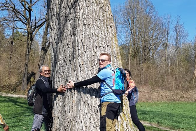 abbraccia un albero per ritrovare il benessere e la Biofilia