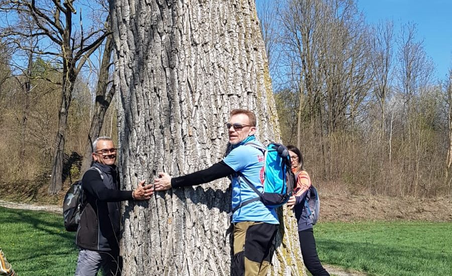 abbraccia un albero per ritrovare il benessere e la Biofilia